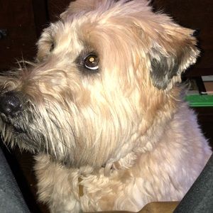 Meet your Posher, Noah